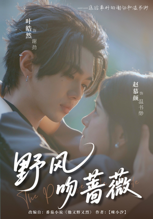 野风吻蔷薇（78集）爆款短剧抢先看