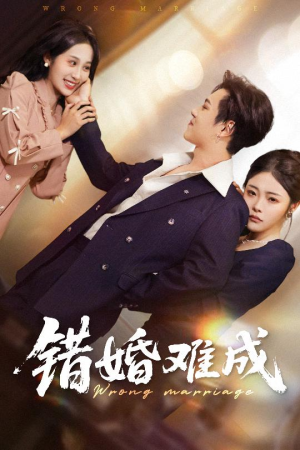 错婚难成（45集）超甜短剧分享