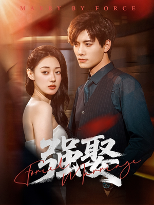 强娶(80集) 强娶(80集)看到大结局