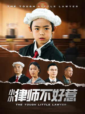 小小律师不好惹（82集）红果免费看短剧