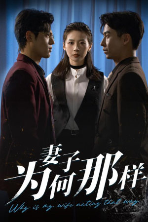 妻子为何那样（60集）免费短剧看全集