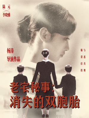 老宅秘事消失的双胞胎（90集）百度在线观看