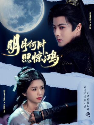 明月何时照惊鸿（80集）热门短剧追到爽