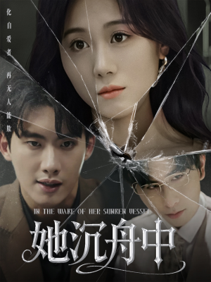 她沉舟中（71集）零花钱看整部剧