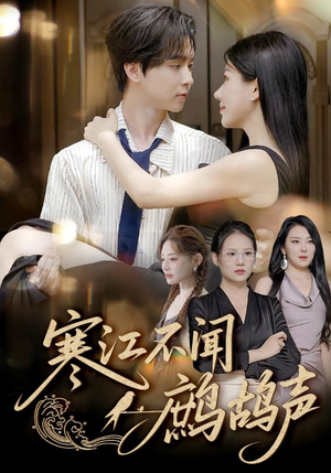 寒江不闻鹧鸪声（55集）爆火短剧追不停