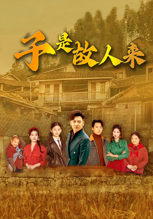 子是故人来（65集）我真的爱了