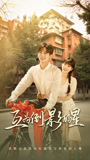 互为倒影的星（72集）80到100集