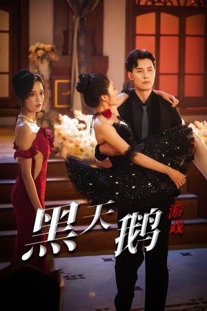 黑天鹅游戏（60集）一口气看完