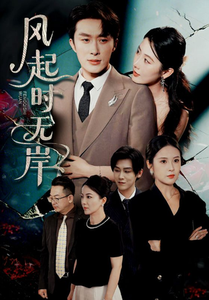 风起时无岸（58集）最火爆短剧