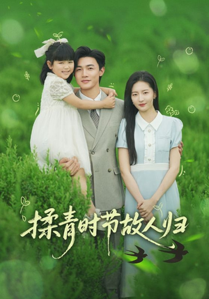 揉青时节故人归（60集）短剧精彩绝伦