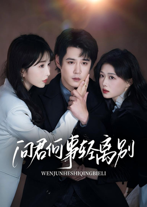 问君何事轻离别（30集）免费观看就是爽