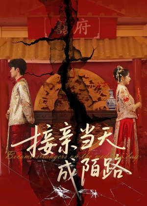 接亲当天成陌路（50集）解说