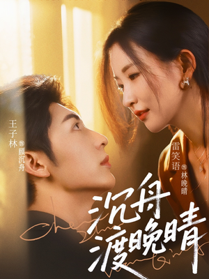 沉舟渡晚晴（80集）全部免费看全集