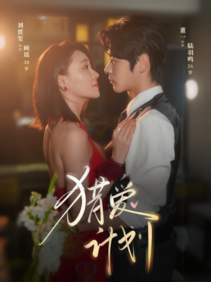 猎a计划（66集）热播古装短剧