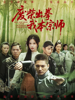 废柴出拳我本宗师(61集) 废柴出拳我本宗师(61集)追短剧看全集