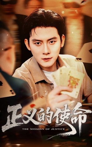 正义的使命（50集）全集在线看