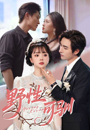 野性可驯（63集）百亿短剧抢先看