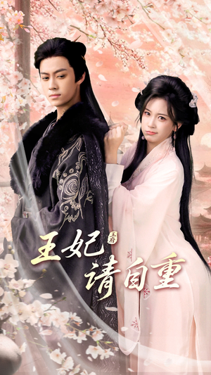 王妃请自重（88集）短剧演员排行榜