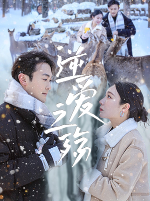 逆爱之殇(60集) 逆爱之殇(60集)演员表