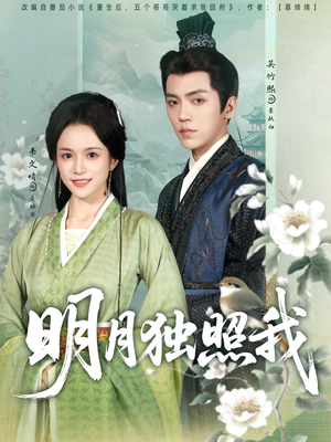 明月独照我（80集）精彩短剧来了