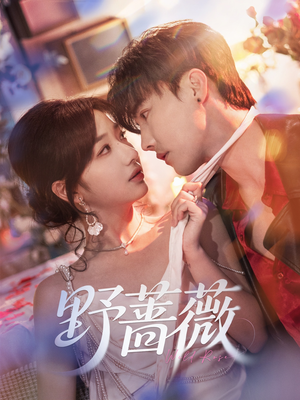 野蔷薇（60集）热门短剧追到爽