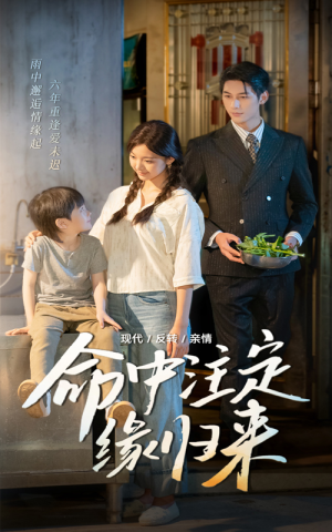 命中注定缘归来（63集）每日短剧推荐