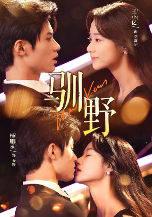 驯野（77集）在哪里看