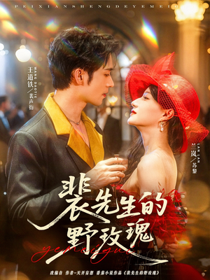 裴先生的野玫瑰（72集）全网独播免费看