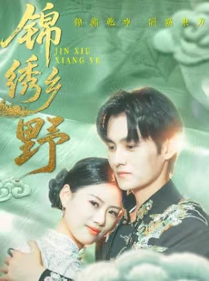 锦绣乡野（42集）80到100集