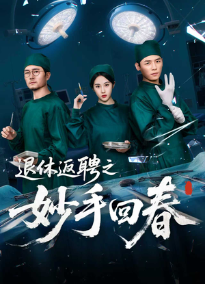 退休返聘之妙手回春（60集）海量资源免费看