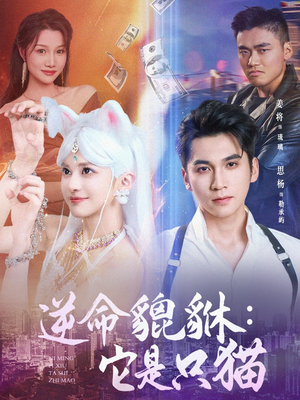 逆命貔貅它是只猫（35集）温柔追捕短剧