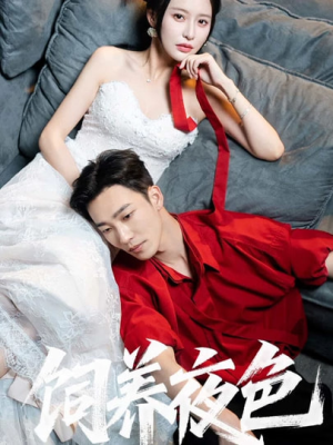 饲养夜色（86集）热播短剧全集看