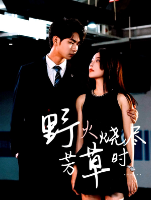 野火烧尽芳草时（65集）短剧太上头了