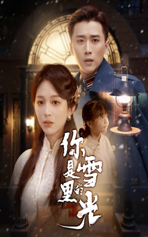 你是雪里的光（64集）演的怎么样