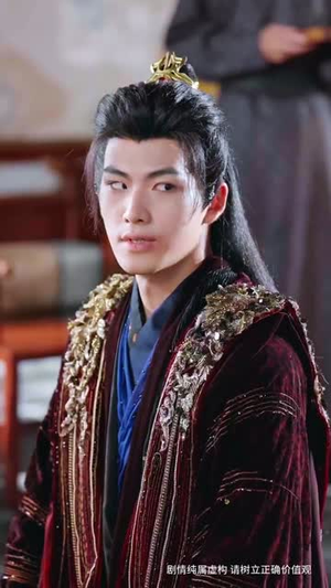 凤鸣向南枝（69集）怎么看全集