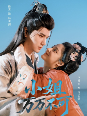 小姐万万不可(74集) 小姐万万不可(74集)好看到停不下来