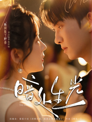 暗处生光（82集）最火短剧热播中