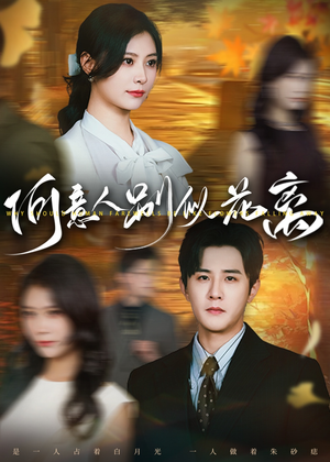 何意人别似花离（61集）短剧有好货推荐