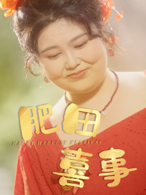 肥田喜事（33集）去哪里看