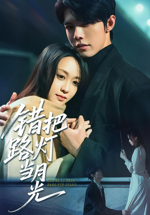 错把路灯当月光（40集）百度在线观看