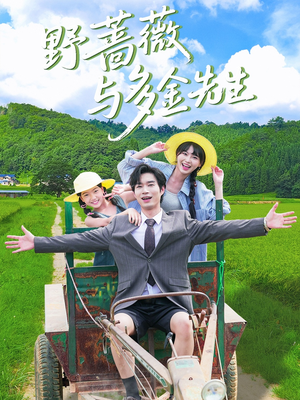 野蔷薇与多金先生（63集）这部短剧太好看