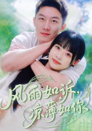 风雨如诉凉薄如你（70集）精彩好看短剧