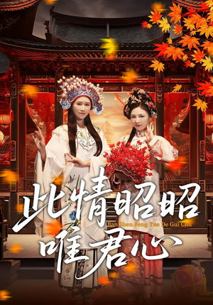 此情昭昭唯君心（82集）热播短剧追不停