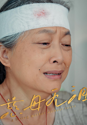 慈母无泪（30集）恋爱短剧分享