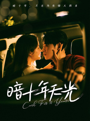 暗十年天光（81集）短剧小说在线看
