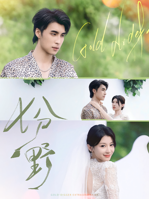 七分野（78集）在线免费观看