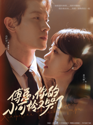 傅总你的小可怜又哭了（80集）短视频追剧推荐