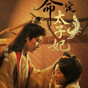 命定太子妃（63集）热播短剧推荐