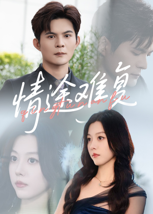情途难复（50集）免费在线看