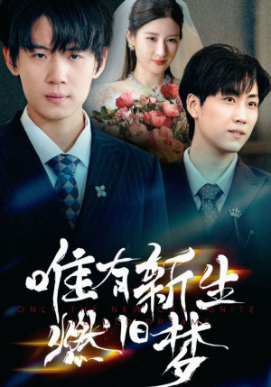 唯有新生燃旧梦（55集）排行榜前十短剧